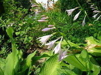 DSCN0390