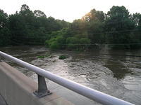 DSCN0937