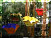 ChihulyGarfieldP1-P1010005.JPG (1289612 bytes)