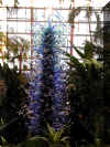 ChihulyGarfieldP1-P1010007.JPG (372431 bytes)