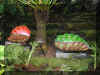 ChihulyGarfieldP1-P1010036.JPG (1417645 bytes)