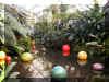 ChihulyGarfieldP1-P1010038.JPG (1042292 bytes)