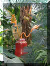 ChihulyGarfieldP1-P1010044.JPG (426648 bytes)