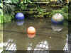 ChihulyGarfieldP1-P1010048.JPG (1324884 bytes)