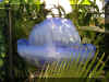 ChihulyGarfieldP1-P1010051.JPG (1385151 bytes)