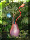 ChihulyGarfieldP1-P1010055.JPG (373243 bytes)