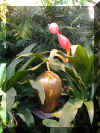 ChihulyGarfieldP2-P1010004.JPG (328221 bytes)