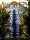 ChihulyGarfieldP2-P1010005.JPG (441289 bytes)