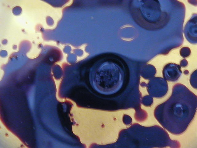 Oil and Balsemic Vinegar 3