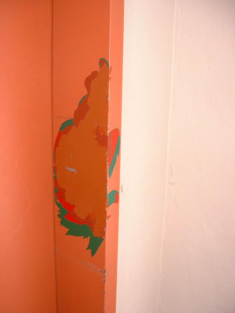 DSCF0018