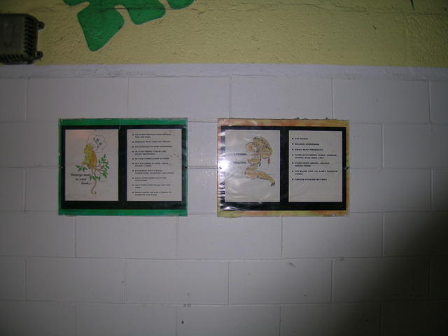 DSCN1238.JPG
