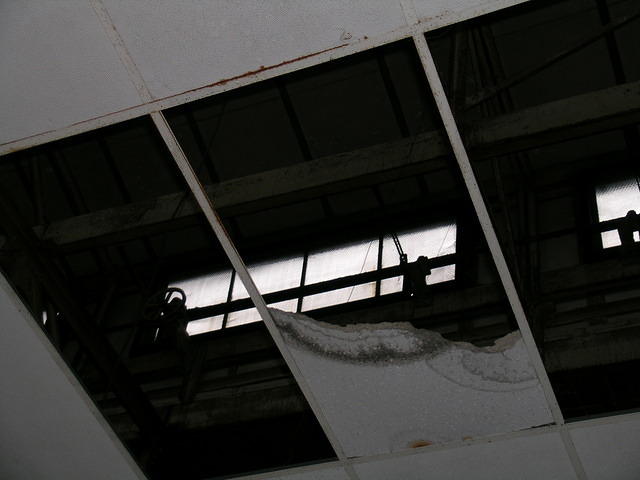 DSCN1282.JPG