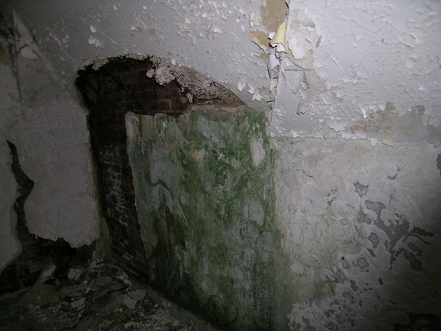 DSCN1328.JPG