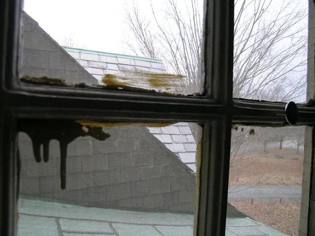 DSCN1308.JPG