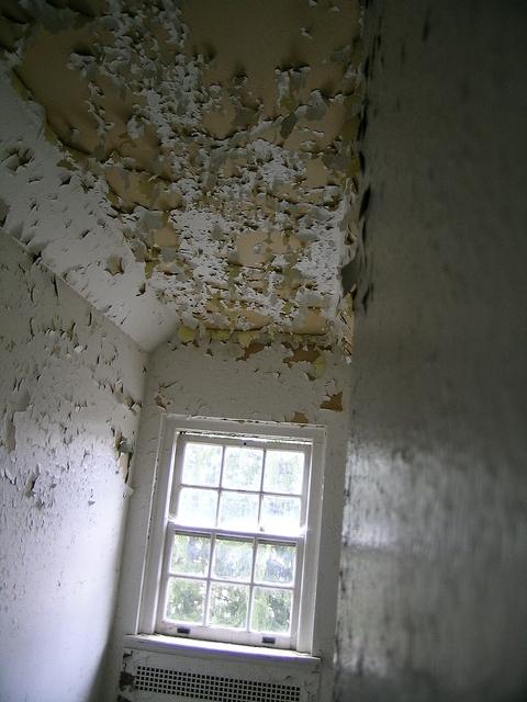 DSCN1331.JPG