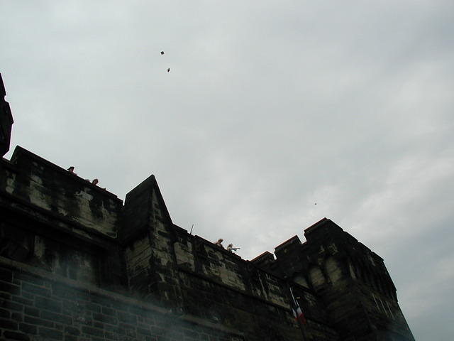 P1010035