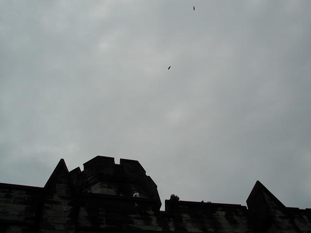 P1010037
