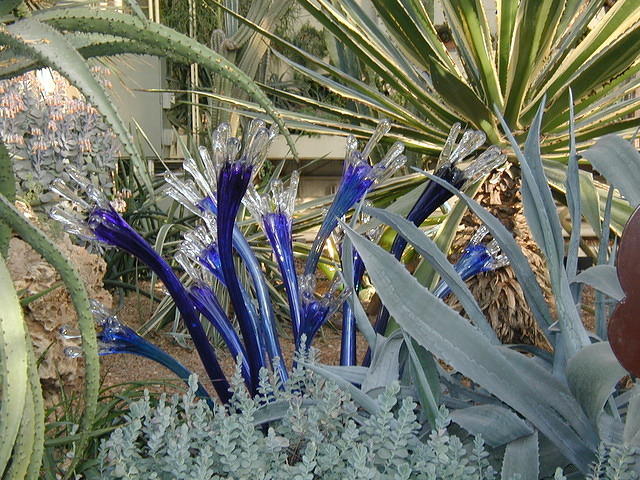 ChihulyGarfieldP1-P1010021