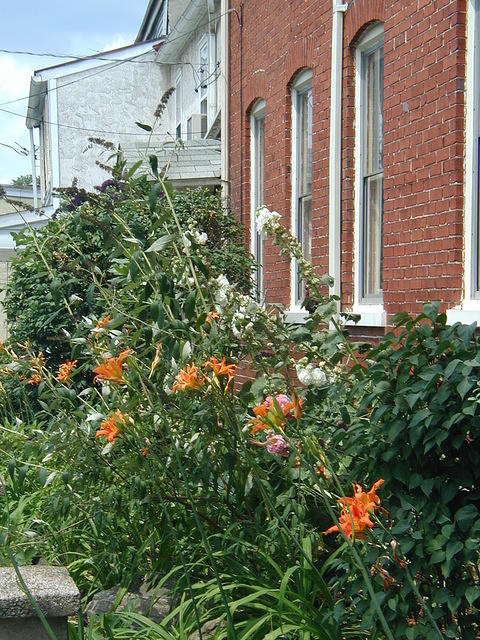 P7120043