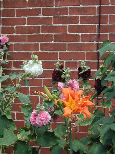 P7120044