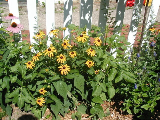 P7250050