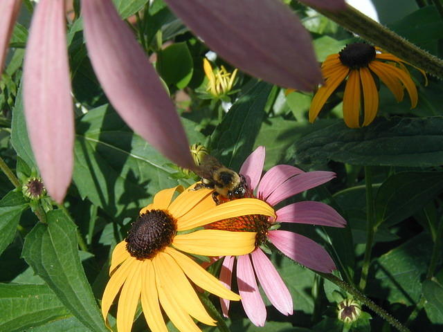 P7250058