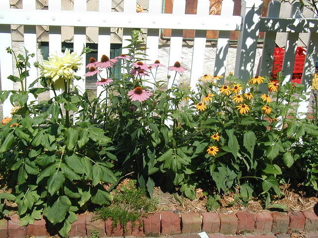 P7250065