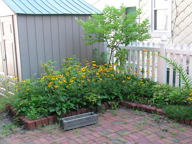 DSCN0399