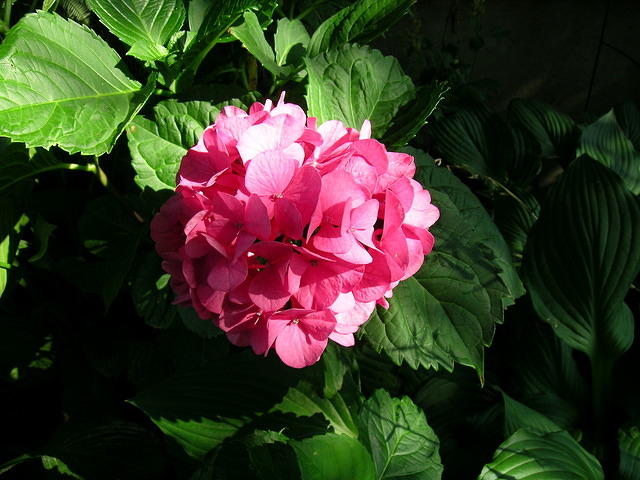 DSCN0396