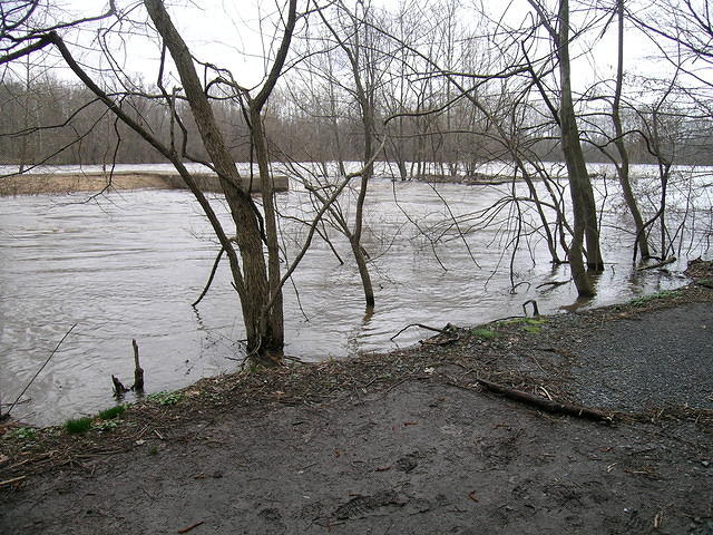 DSCN0334