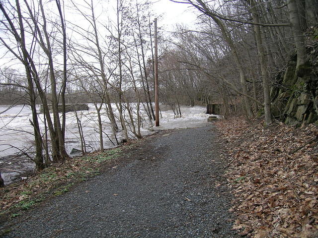 DSCN0335