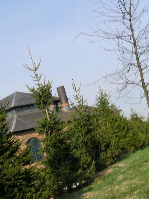 DSCN1492.JPG