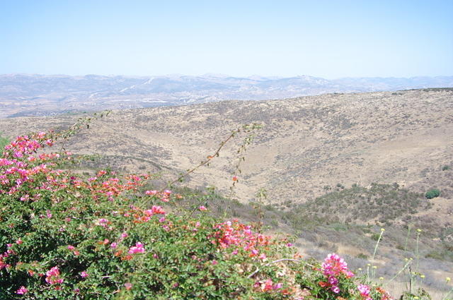 IMGP1859.jpg