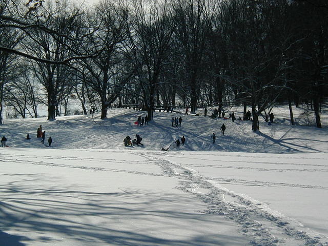 ValleyForge P1010061