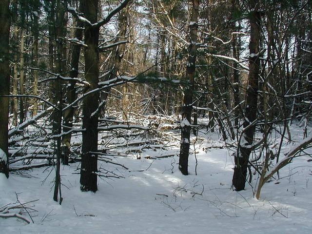 ValleyForge P1010070