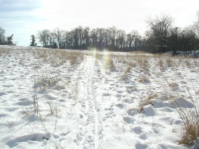 ValleyForge P1010068
