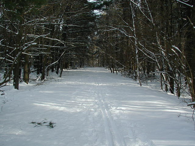 ValleyForge P1010069