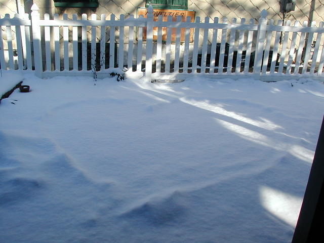 ValleyForge P1010079