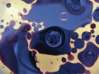 Oil and Balsemic Vinegar 3