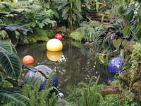 ChihulyGarfieldP1-P1010046