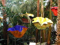 ChihulyGarfieldP1-P1010004