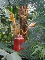 ChihulyGarfieldP1-P1010044