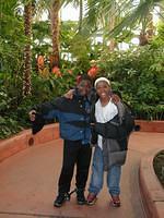 ChihulyGarfieldP1-P1010056