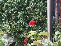 P7120045