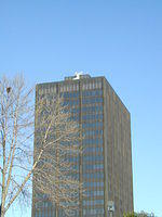 The Hartford Tower and Stag 2