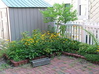 DSCN0399