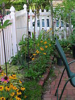 DSCN0401