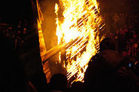 IMGP0204.jpg