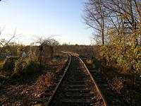 DSCN0826.JPG