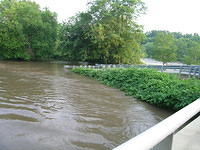 DSCN0945